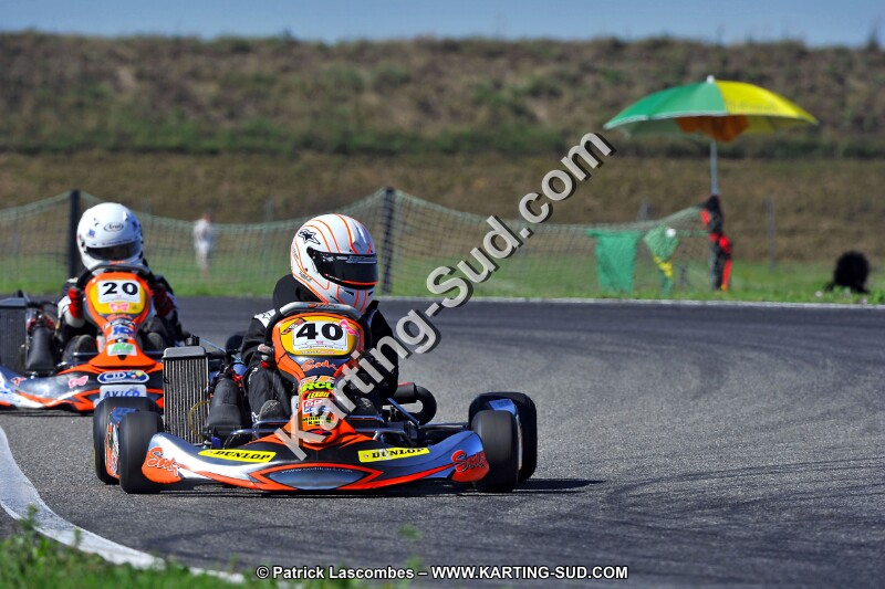 DSC_ (1599).jpg